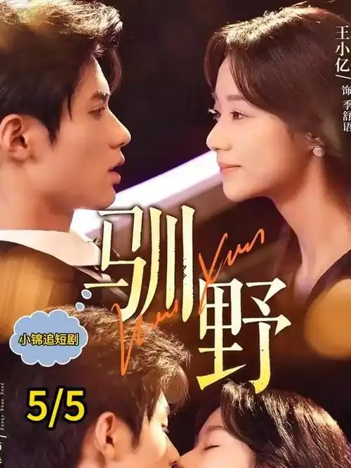 星星影院悬疑剧雾港迷航
